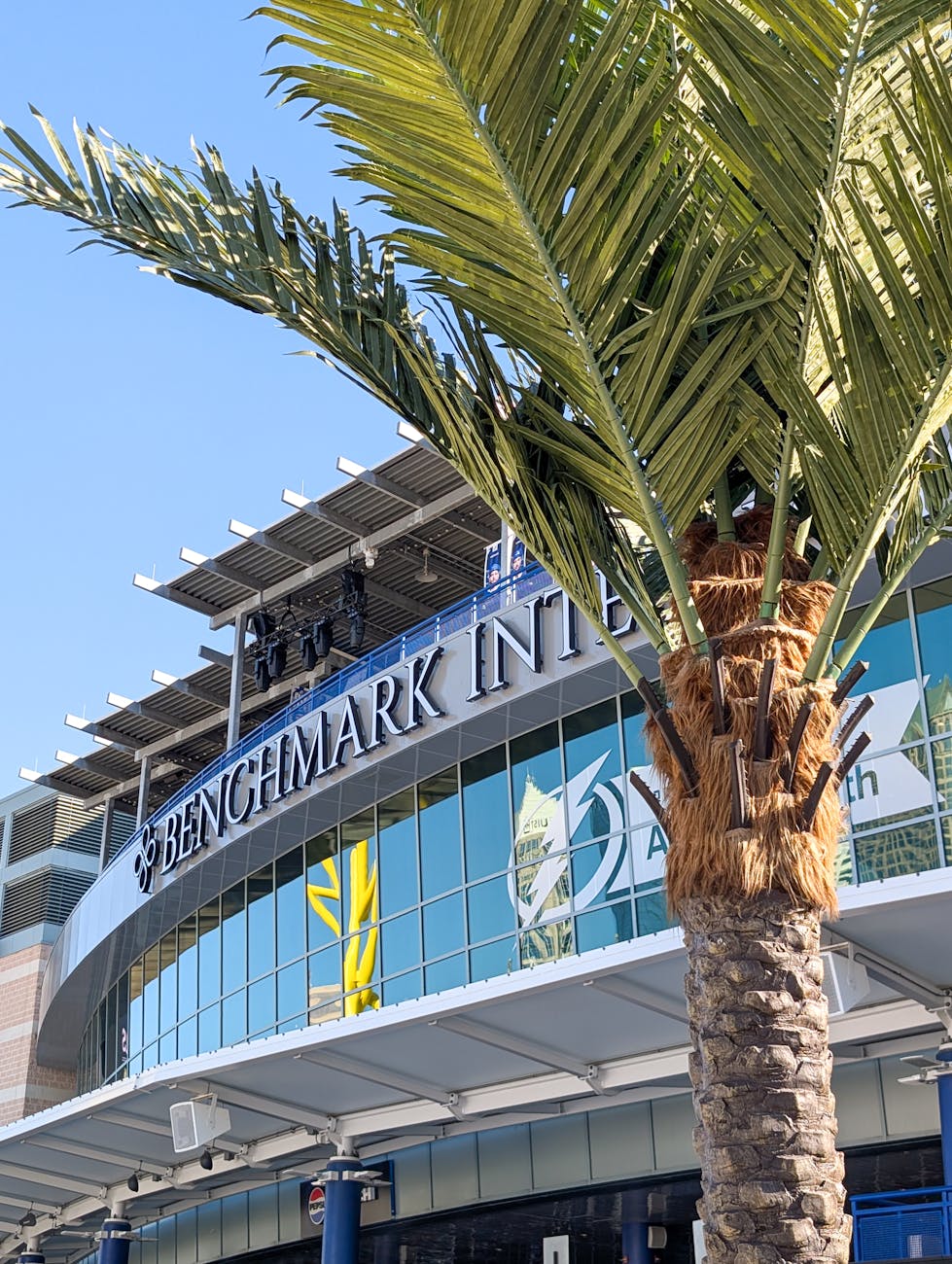 modern palm tree and building in tampa florida